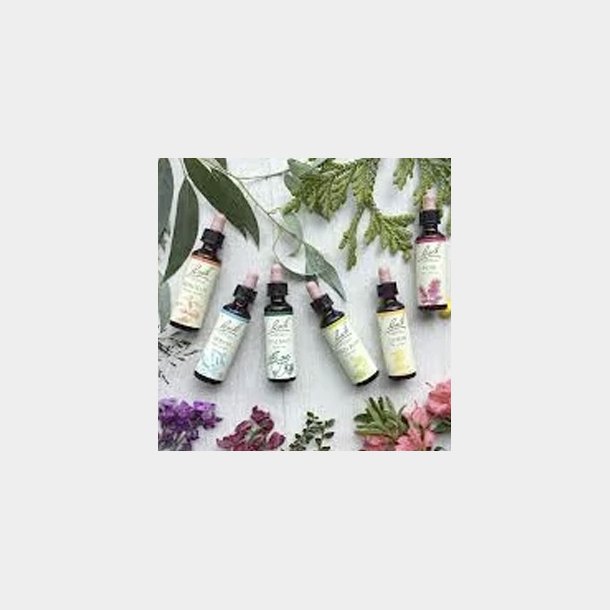 Bach Flower Remedies - kan kbes i vores klinik eller efter aftale
