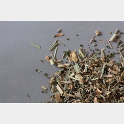 kologisk Endless Summer  20 stk. bomulds teposer