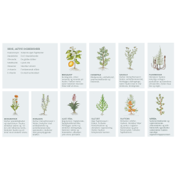 RICH RESCUE CREAM 75ML Lucia Care