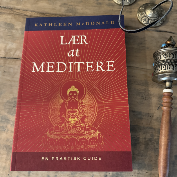LR AT MEDITERE - En praktisk guide (bog)